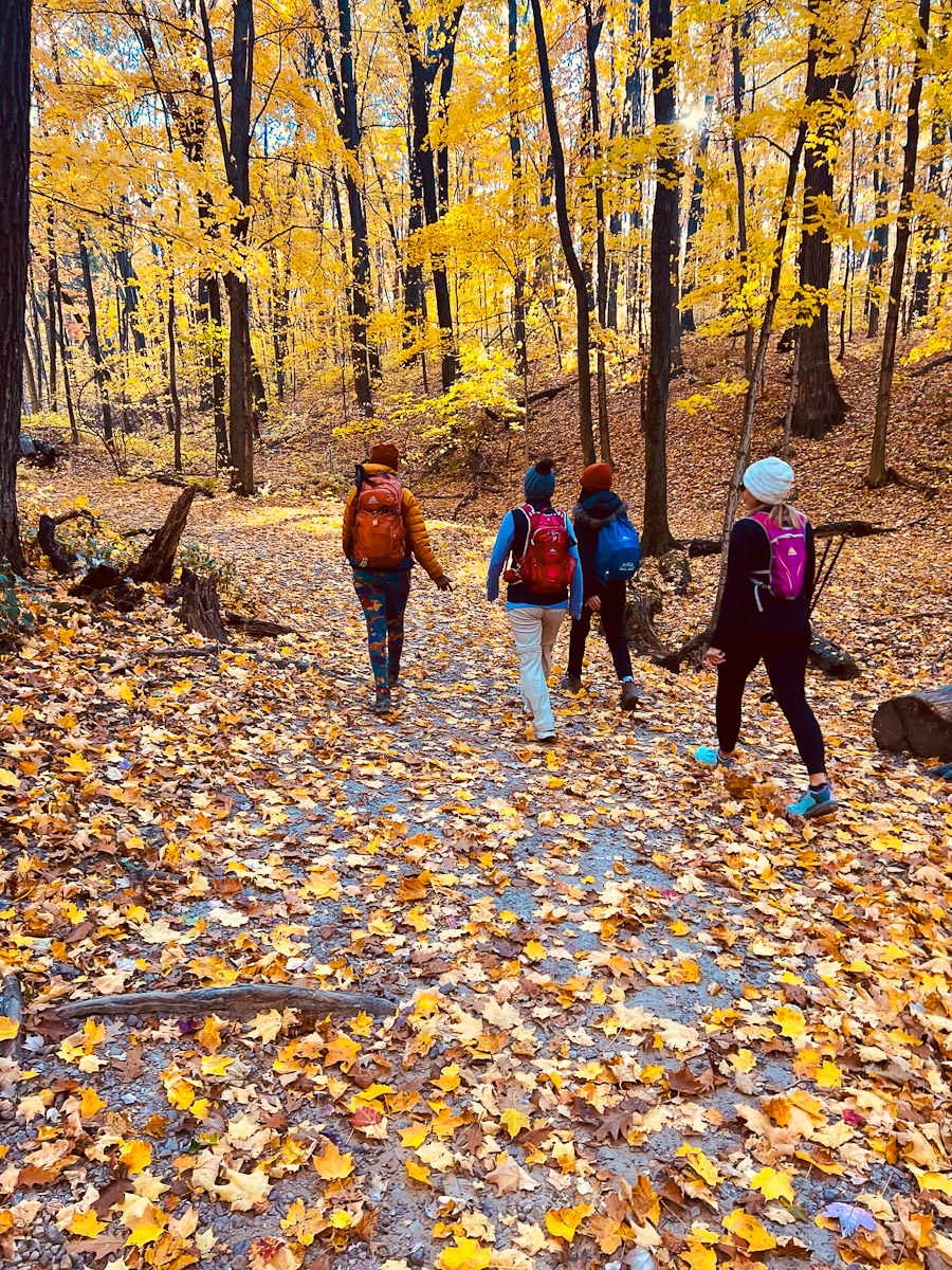 Community Hike in the fall